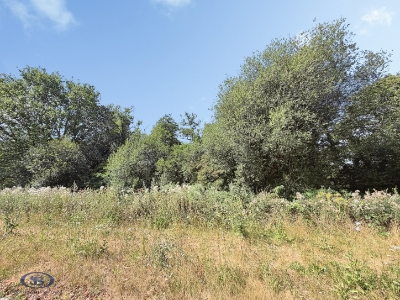 Picture 25